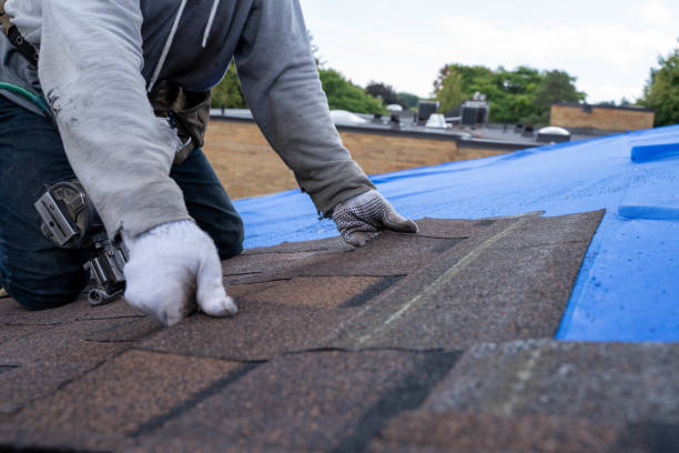 Professional Roofing Contractor in Hickory, NC